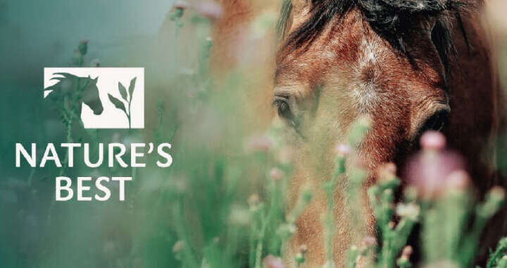 banner natures best pferdefutter 720x380